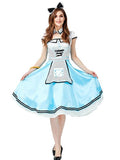 Alice in Wonderland Alice Costume (Adult)