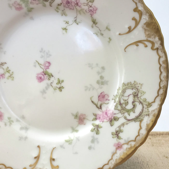 Antique Haviland Bread & Butter Side Plates Set of 10 Decorated for Wanamakers Early 1900s