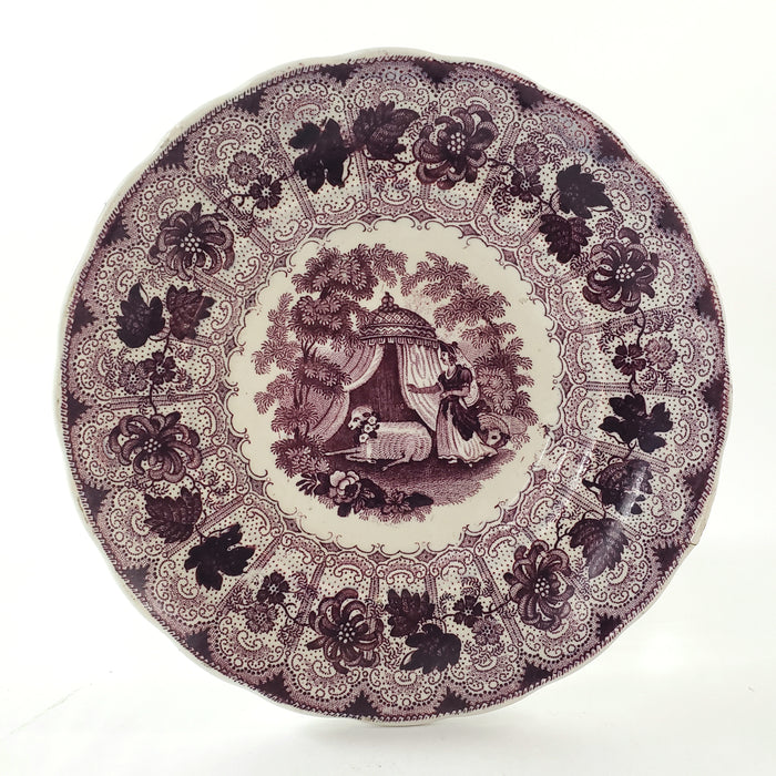 Antique Purple Transferware Handleless Cup & Saucer "The Pet" by Adams England