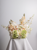 Apricot Snapdragon & White Orchid Cloud - Medium