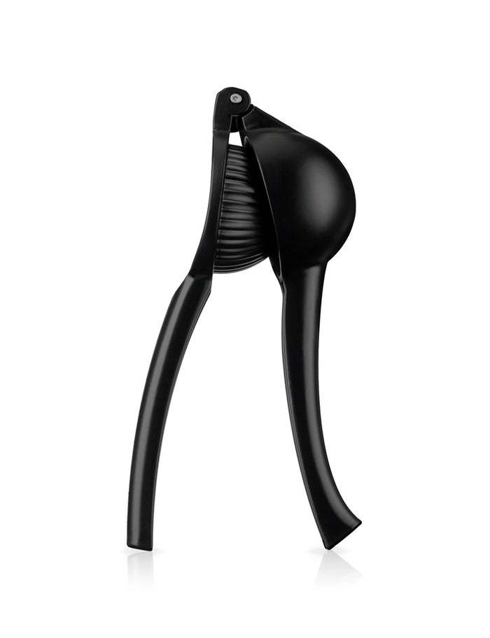 Black Citrus Press