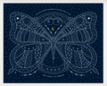 Butterfly print
