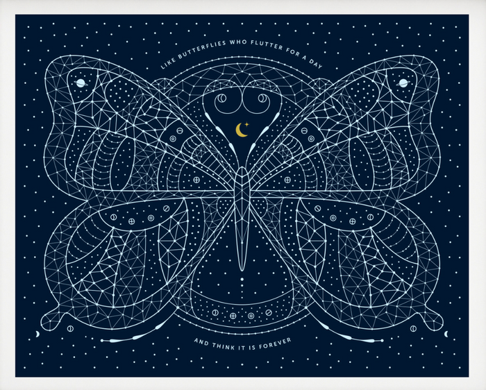 Butterfly print