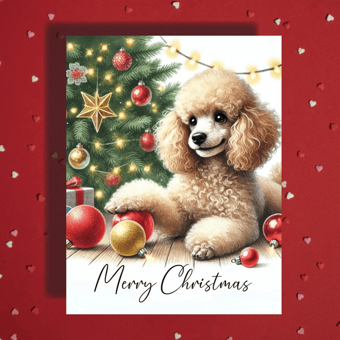 Christmas Greeting Card, Toy Poodle Dog: Merry Christmas