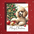 Christmas Greeting Card, Toy Poodle Dog: Merry Christmas