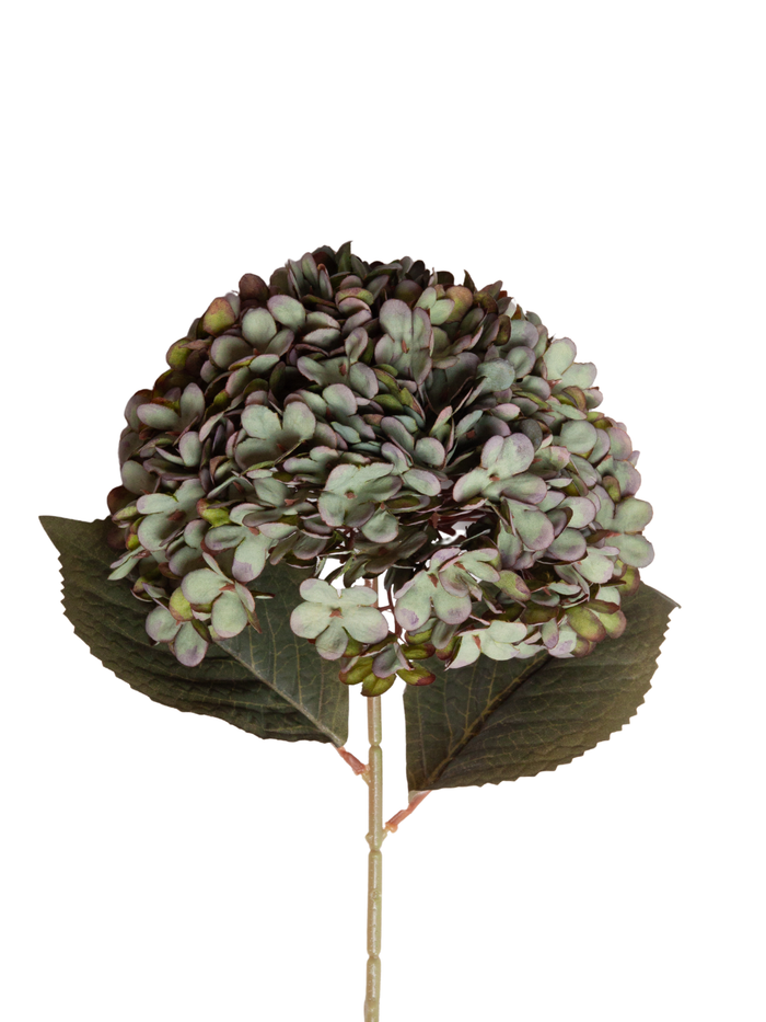 Antique Green Hydrangea - 60cm Pack of 1