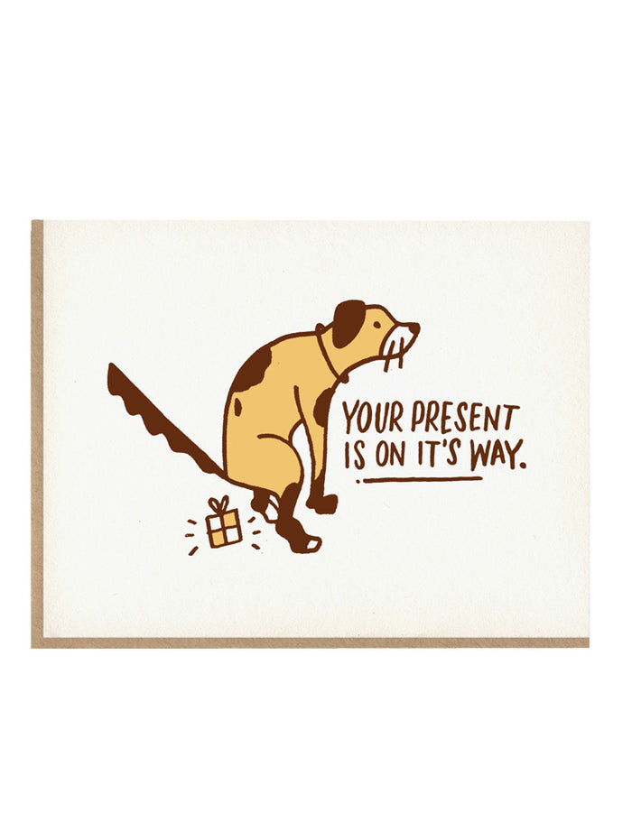 Dog Present