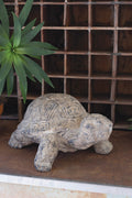 Faux Concrete Turtle