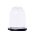 Glass Smoking Cloche in Gift Box