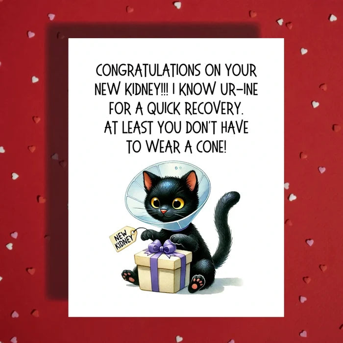 Kidney Transplant Card, Congratulations New Kidney, Cat Medical Humor Card