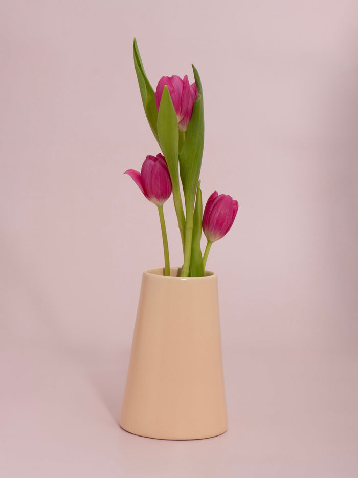 Macaron Bryony Ceramic Vase - Medium Pack of 1