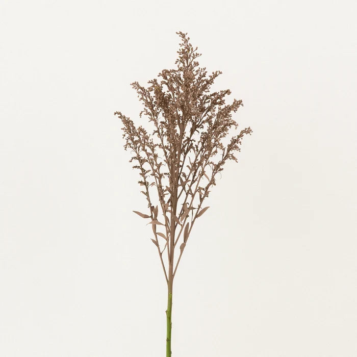 Mocha Mousse Tinted Solidago Flowers Stem - Image