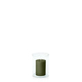 Olive 5cm x 7.5cm Pillar in 8cm x 10cm Glass Pack of 1