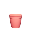 KeepCup Original Plastic Cup Base in Clay, S 8oz size, shown from a front angle against a white background. The coral-pink reusable cup base features a tapered shape with a subtle rim and embossed capacity marking.