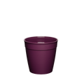 KeepCup Original Plastic Cup Base in Merlot, S 8oz size, shown straight-on against a white background, featuring the classic tapered shape in a deep plum colour with a matte finish and embossed measurement marking visible inside the rim.