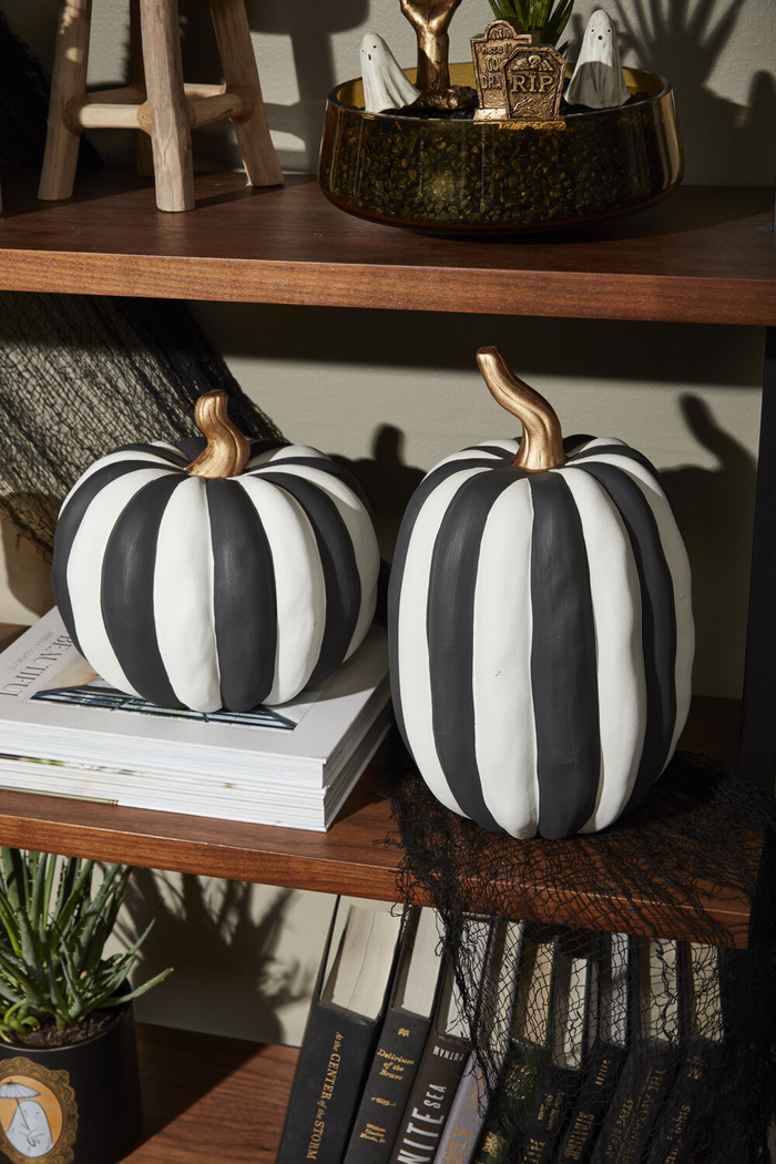 Otho Pumpkin