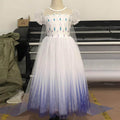Princess Elsa Costume (Child)