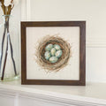 Robin in a Cherry Blossom - Spring Framed Sign