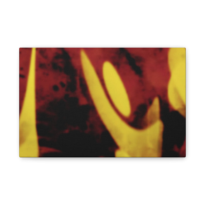 SnapCanvas