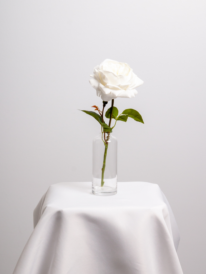 White Garden Rose Bud Vase - Medium